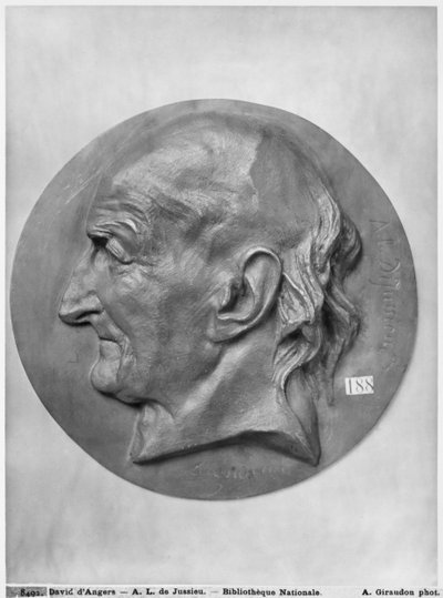 Antoine Laurent de Jussieu by Pierre Jean David d